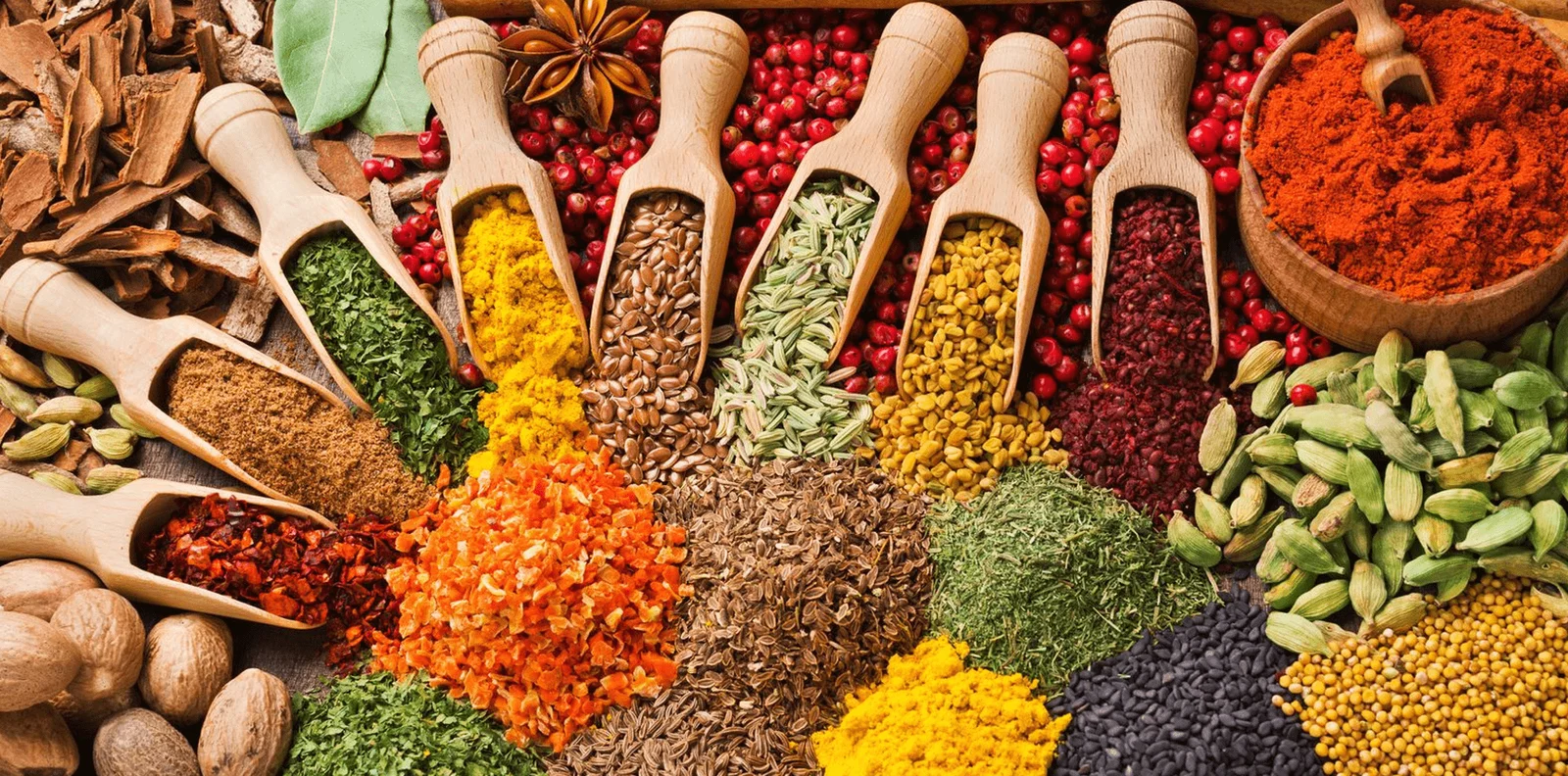MB ORGANICS Website