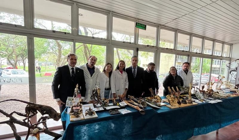 Exposición de Stands