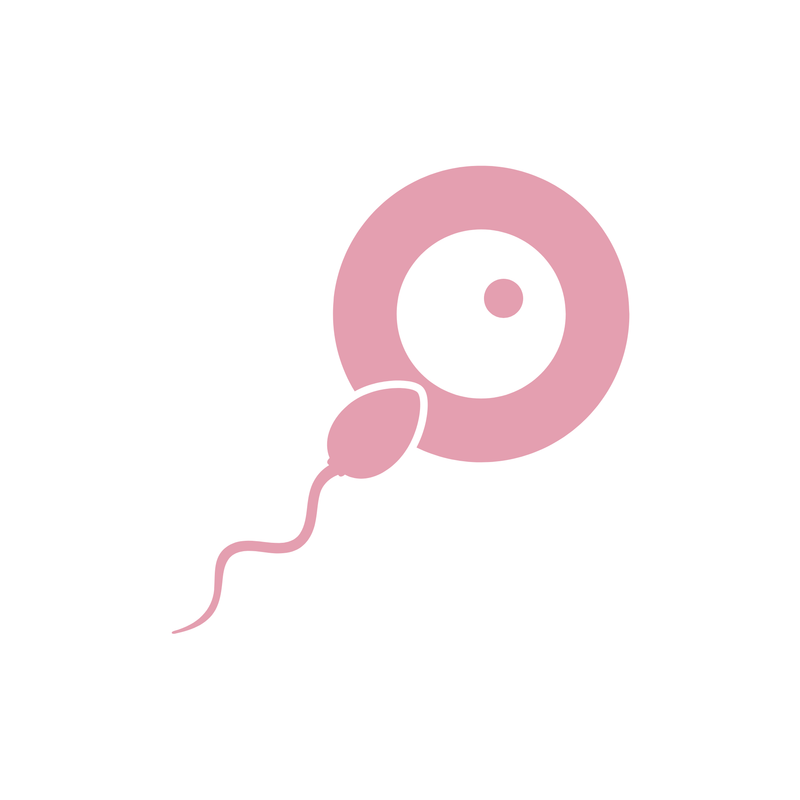 טיפולי הפריה חוץ גופית – IVF – טיפול פוריות  מתקדם