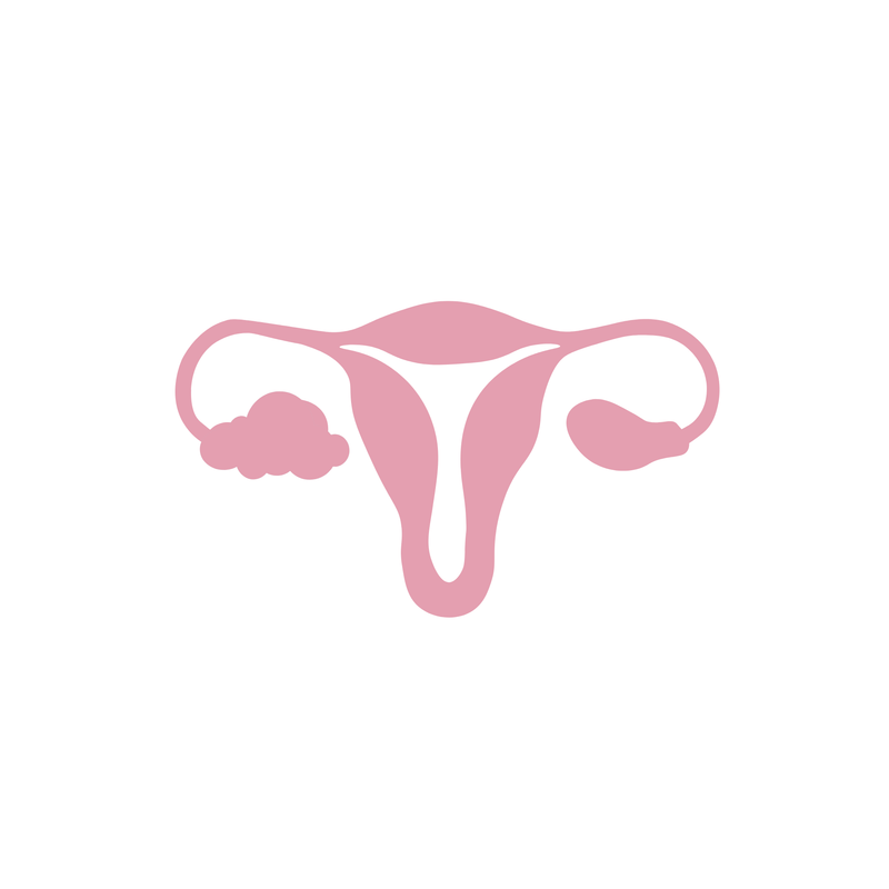 שחלה פוליציסטית