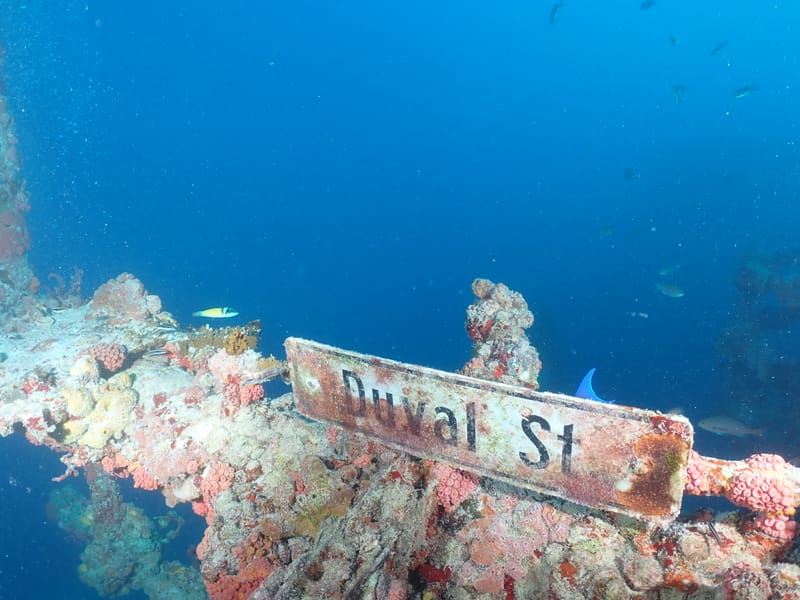Dive 30 - Vandenburg Wreck - Key West - Lost Reef Adventures AM