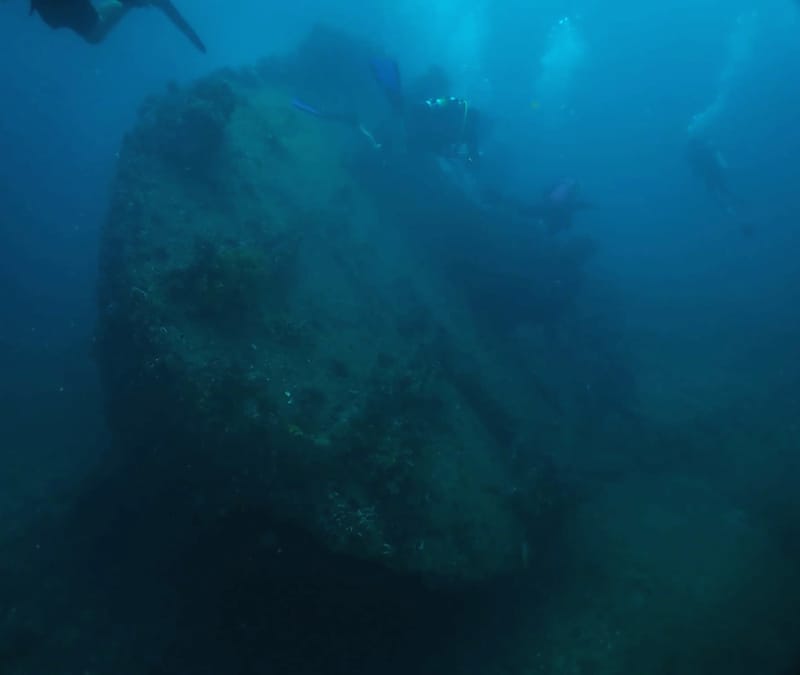 Dive 39 - Budweiser Bar Wreck  - Boynton - South Florida Dive Headquarters - Boynton AM
