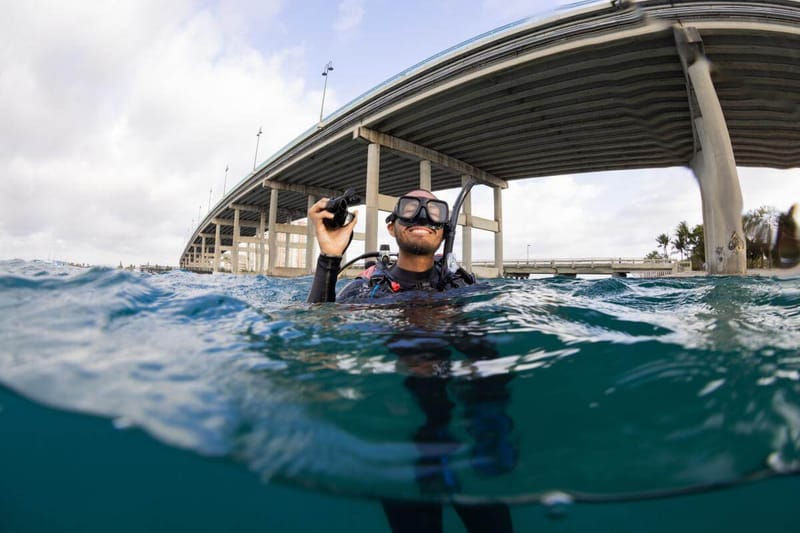 Dive 1 - Season Opener Picnic - Blue Heron Bridge AM
