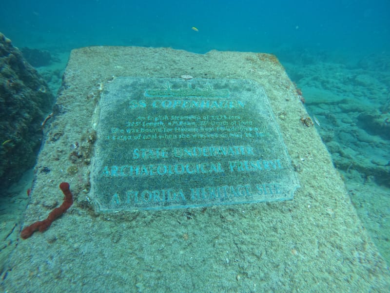A Pleasant Afternoon Diving in Pompano