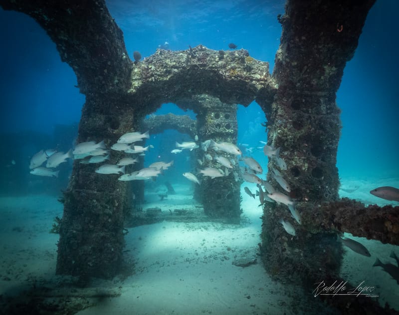 Ladies First - Women's Dive Day 2025