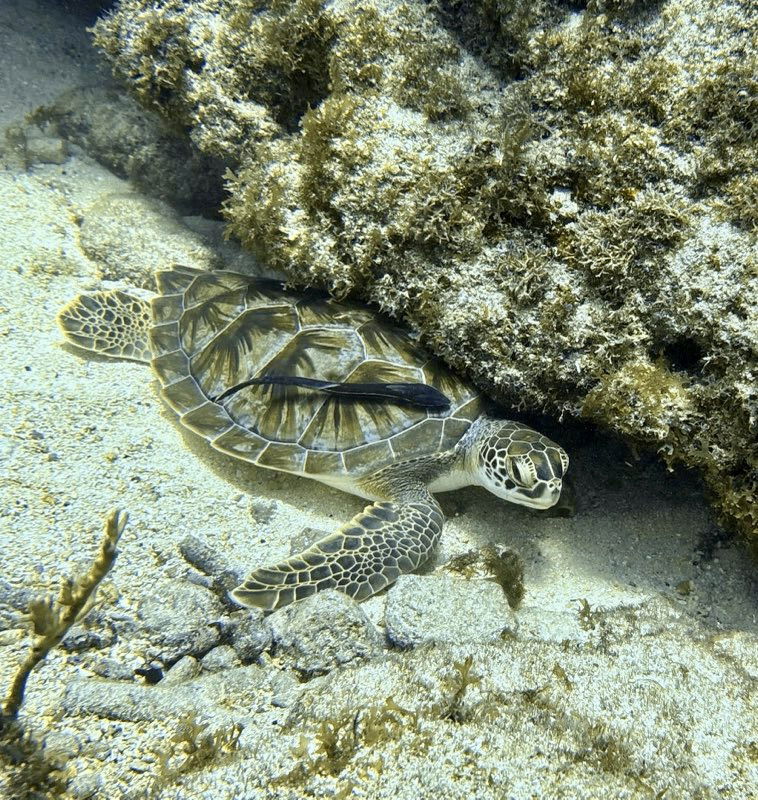 Key Largo Day and Night