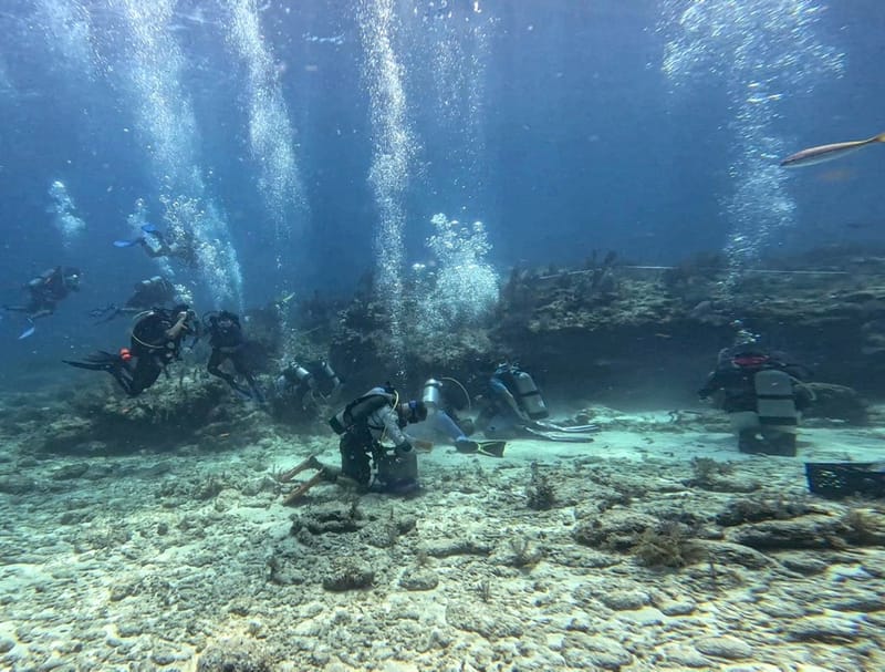 ICARE Coral Restoration Dive – Key Largo