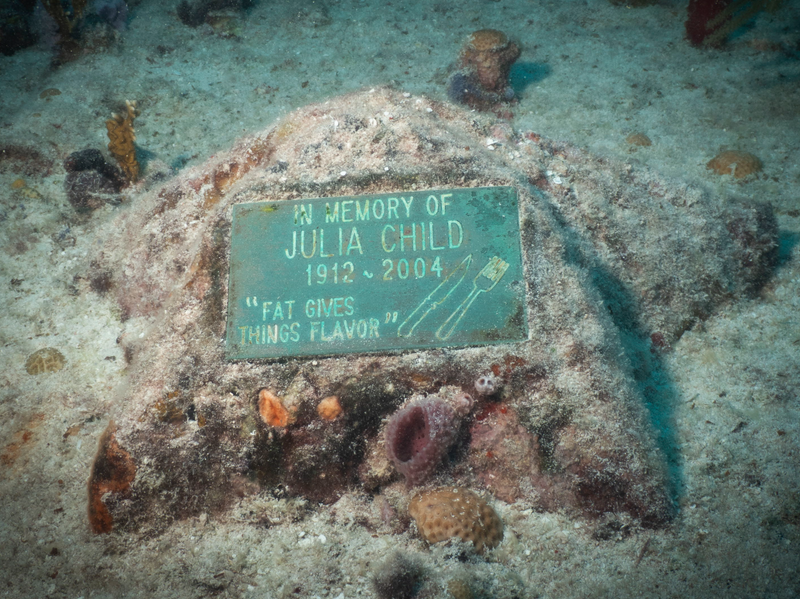 Dive 24 - 08/15/2026 - Spooky Night Dive - Neptune Memorial - Miami - Divers Paradise NIGHT