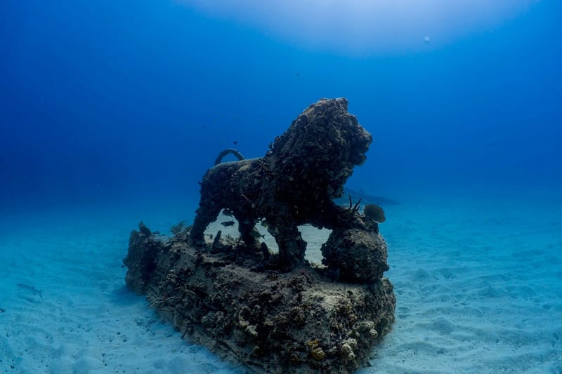 A Magical Dive on the Belcher Barge and the Neptune Memorial