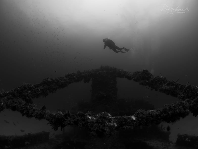 Shipwreck Sunday
