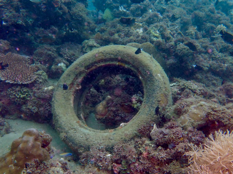 Dive 17 - Dive Against Debris - Blue Heron Bridge - Active Divers AM