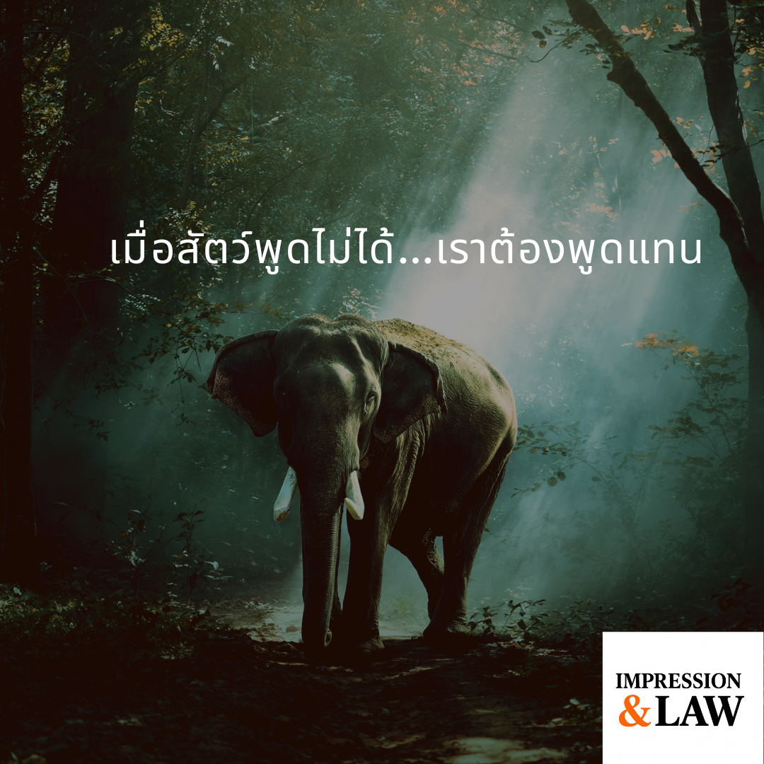 เมื่อสัตว์พูดไม่ได้…เราต้องพูดแทน