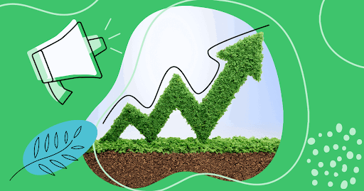 Sustainability Marketing: How to Promote Eco-Friendly Brands Online