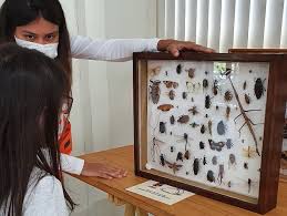 Confira mais de 100 passeios gratuitos com crianças em São Paulo