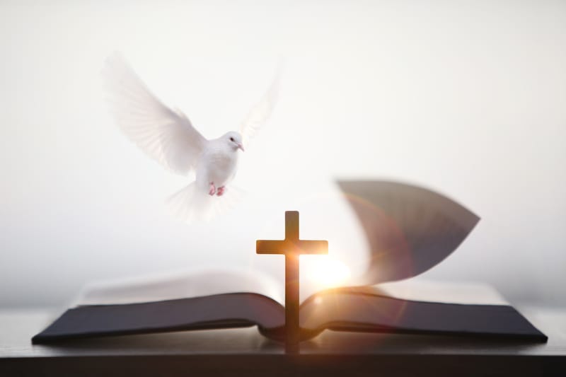 "To Believe Or Not To Believe" Is The Queston (are we any different today than the Isrialites were over 3000 years ago?)