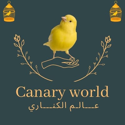 canary world