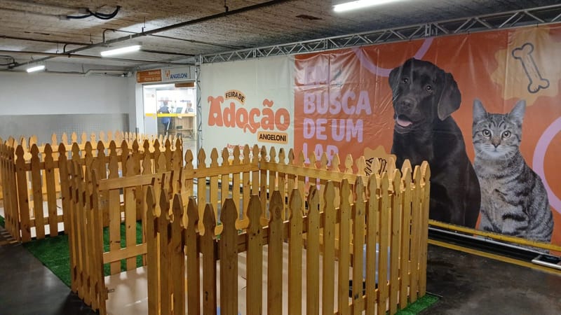 Feira de Adoção Angeloni