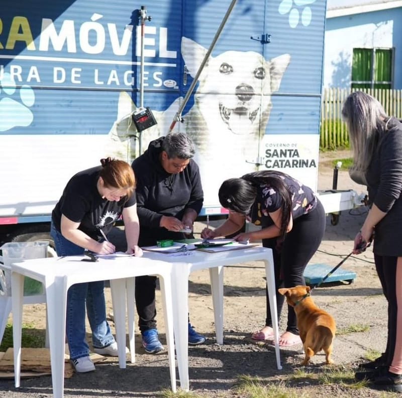 Castração de Animais no Condomínio Ponte Grande