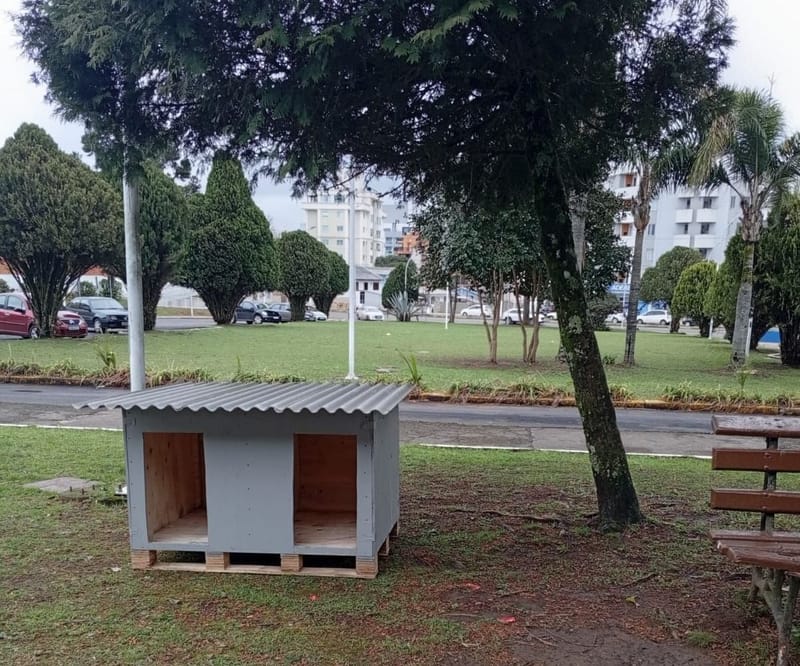 Casinhas para animais abandonados são instaladas na rodoviária