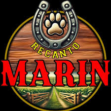 Evento de Adoção - Recanto Marin