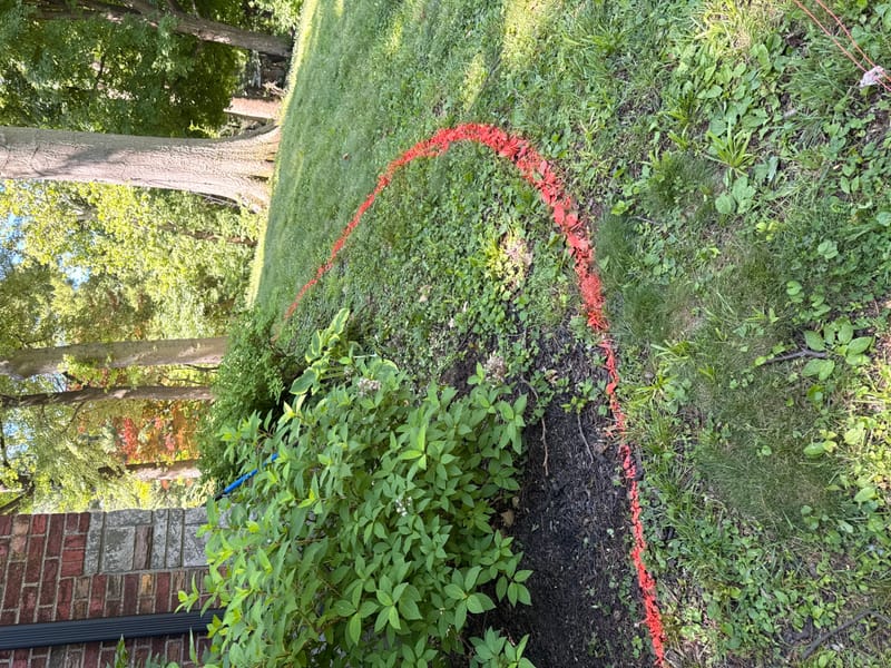 mulch