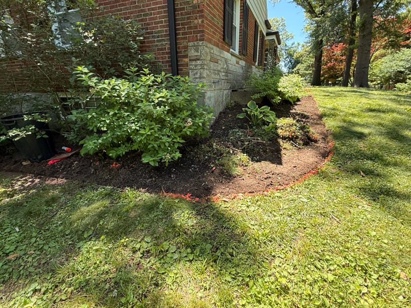 mulch