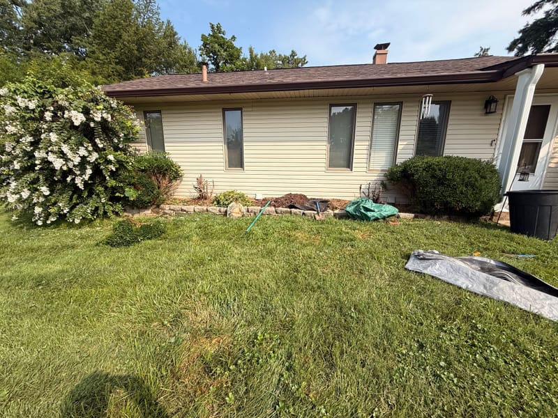 yard cleanup