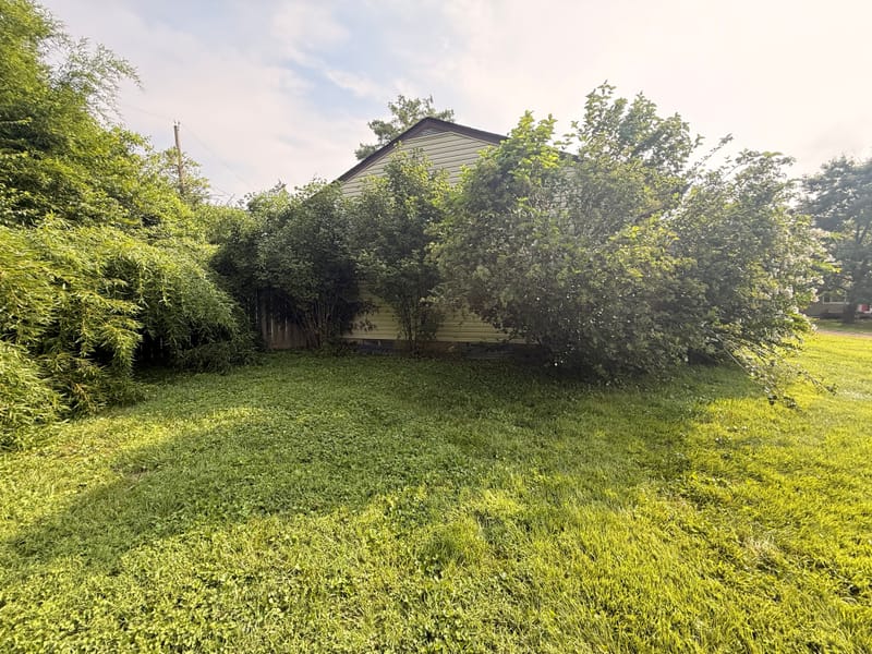 yard cleanup