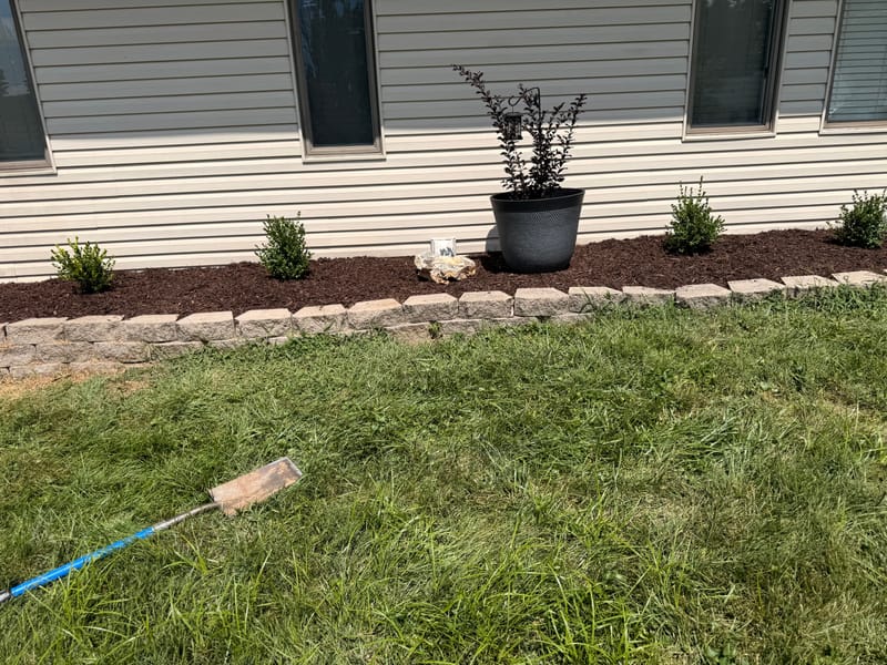 yard cleanup