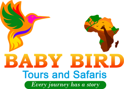 Baby Bird Tours and Safaris