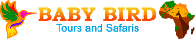 Baby Bird Tours and Safaris