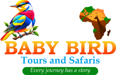 Baby Bird Tours and Safaris