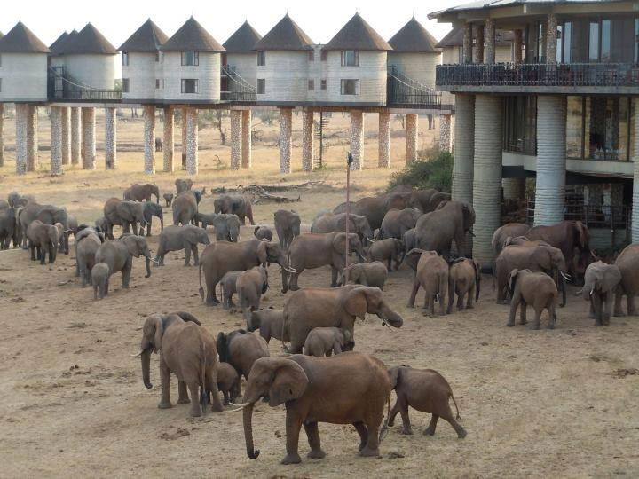 3-Day Tsavo East and Saltlick/Taita Hills Private Safari