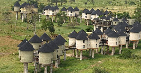 2-Day 1 Night Saltlick Private Safari from Diani / Mombasa by Van