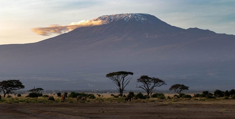 3 DAYS, 2 NIGHTS AMBOSELI NATIONAL PARK SAFARI FROM NAIROBI