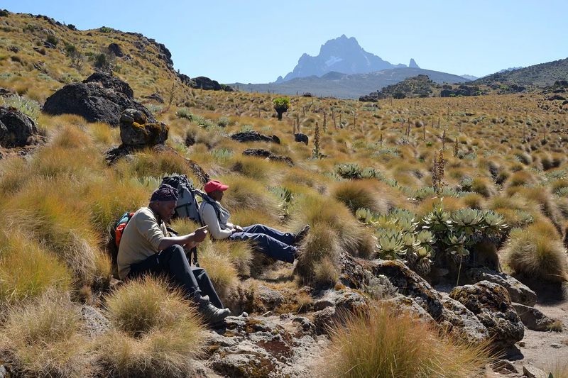 4 DAYS 3 NIGHT MT KENYA PRIVATE HIKING SAFARI