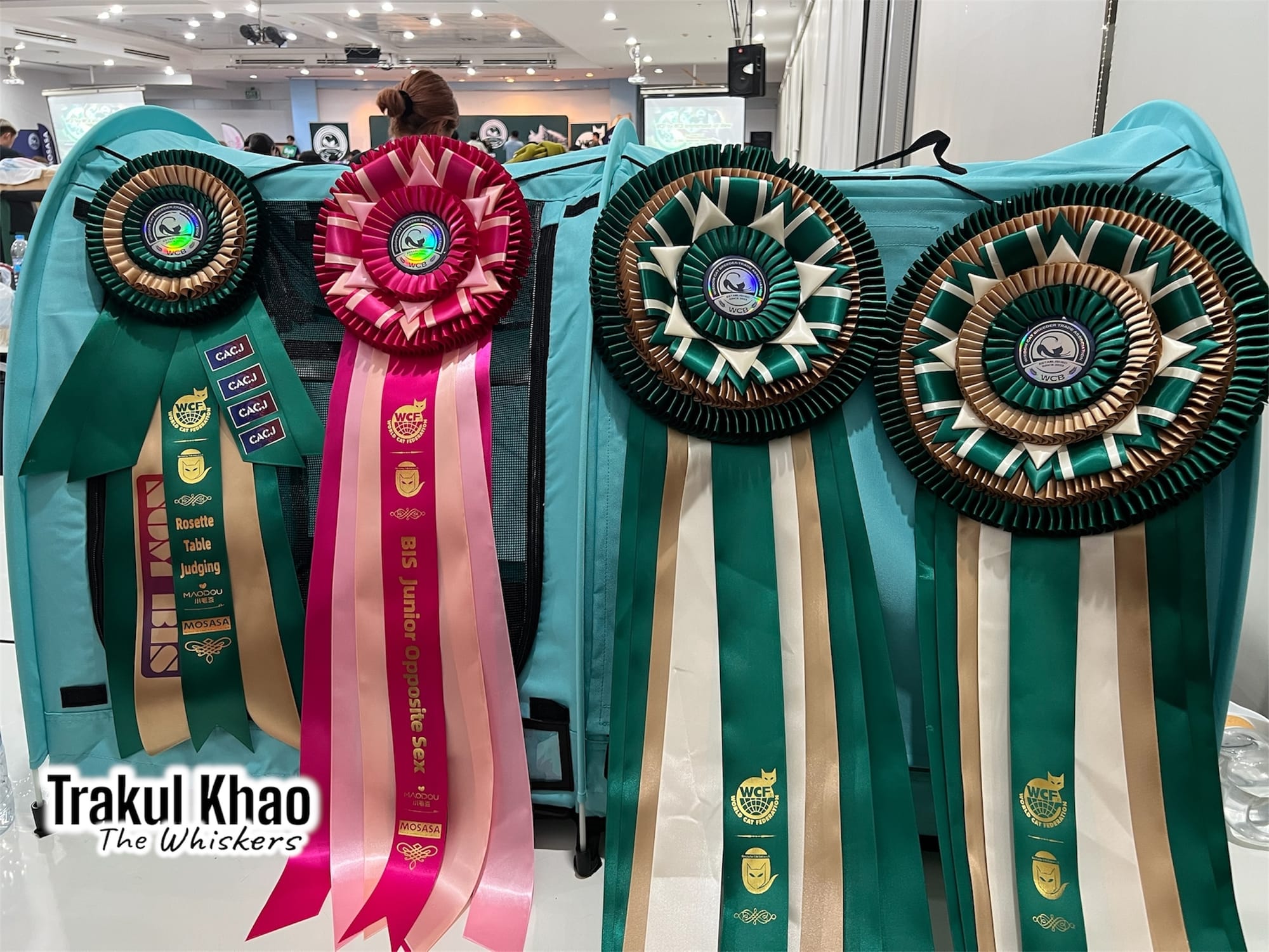 WCF Thailand Novice Class and Junior Class