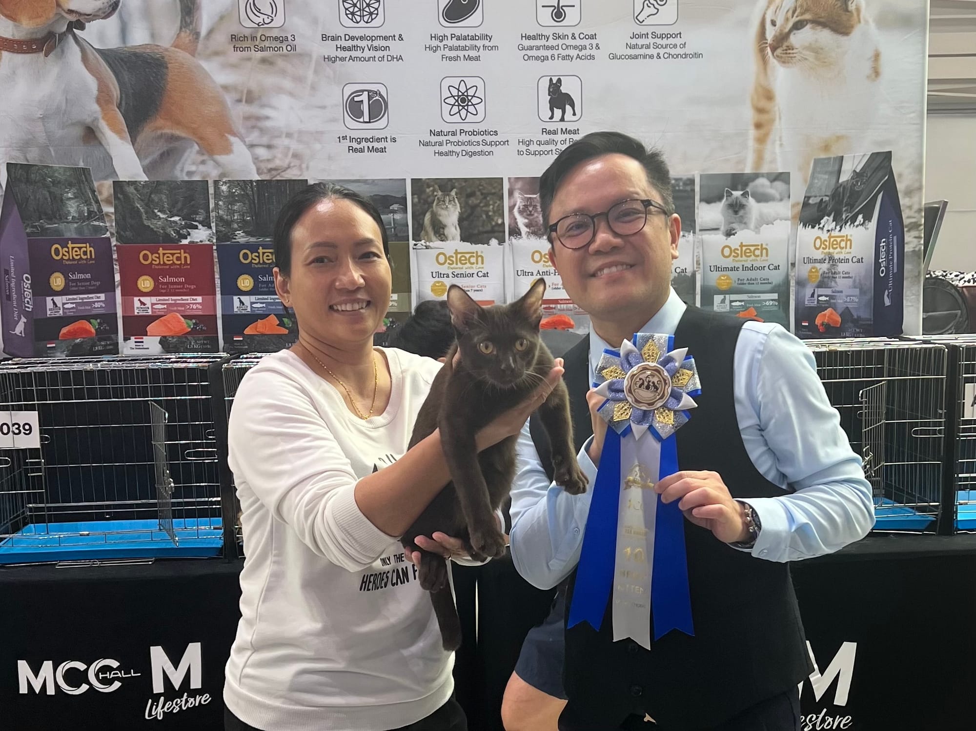 Thai Ancient Cat Shows