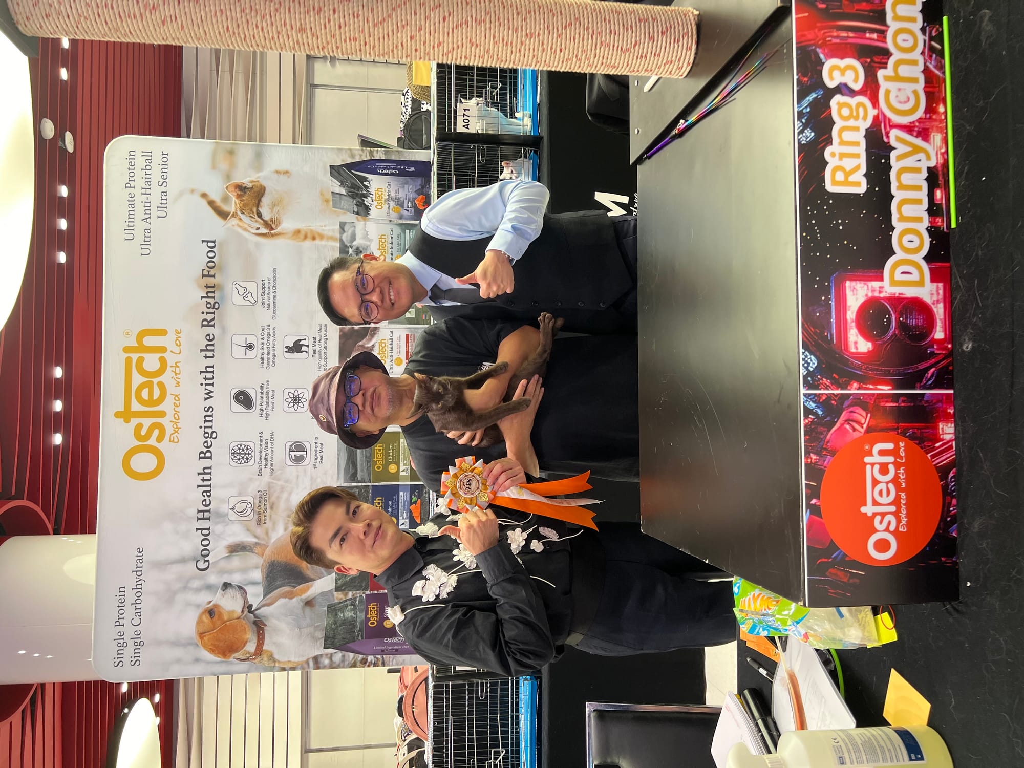 Thai Ancient Cat Shows