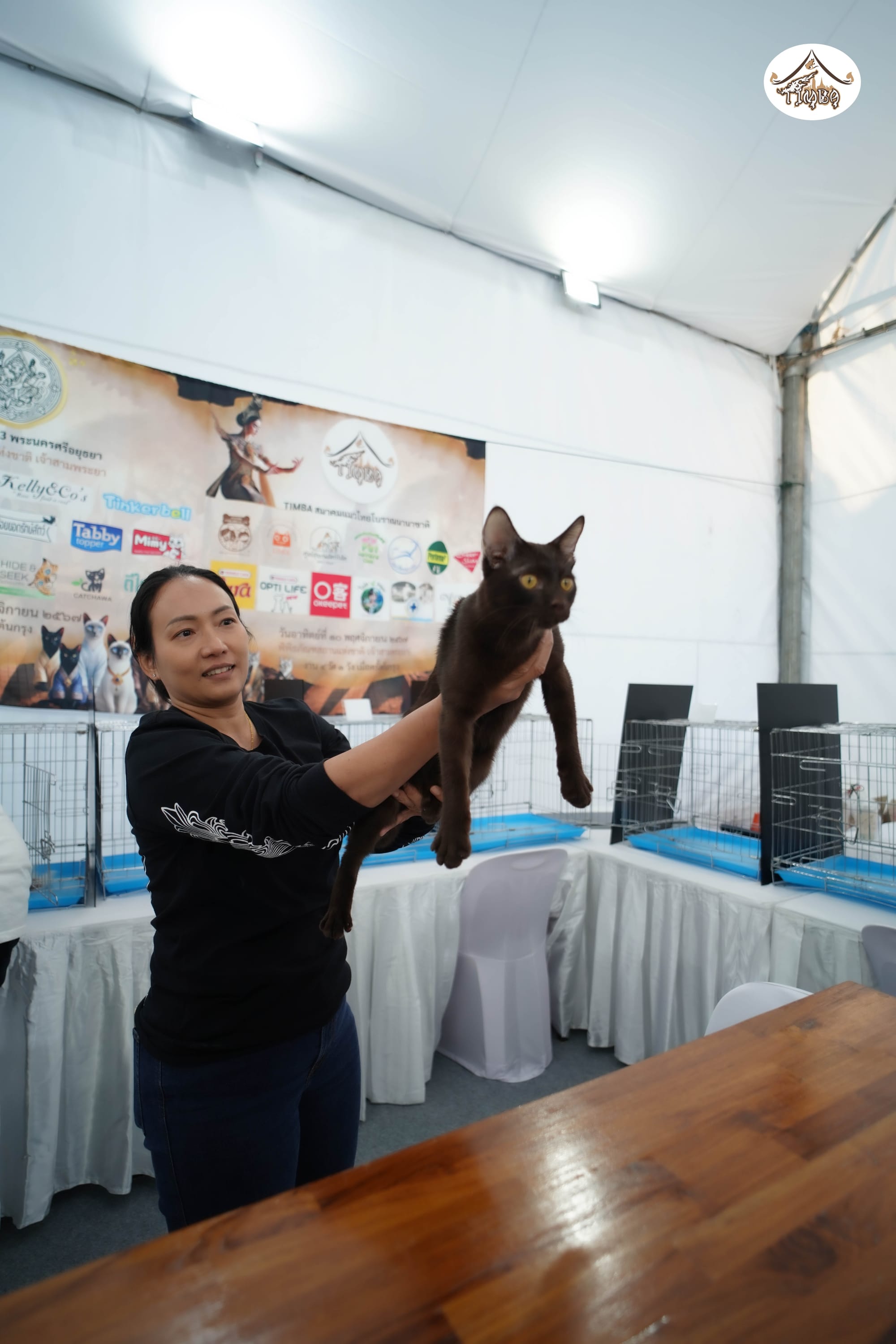 Thai Ancient Cat Shows