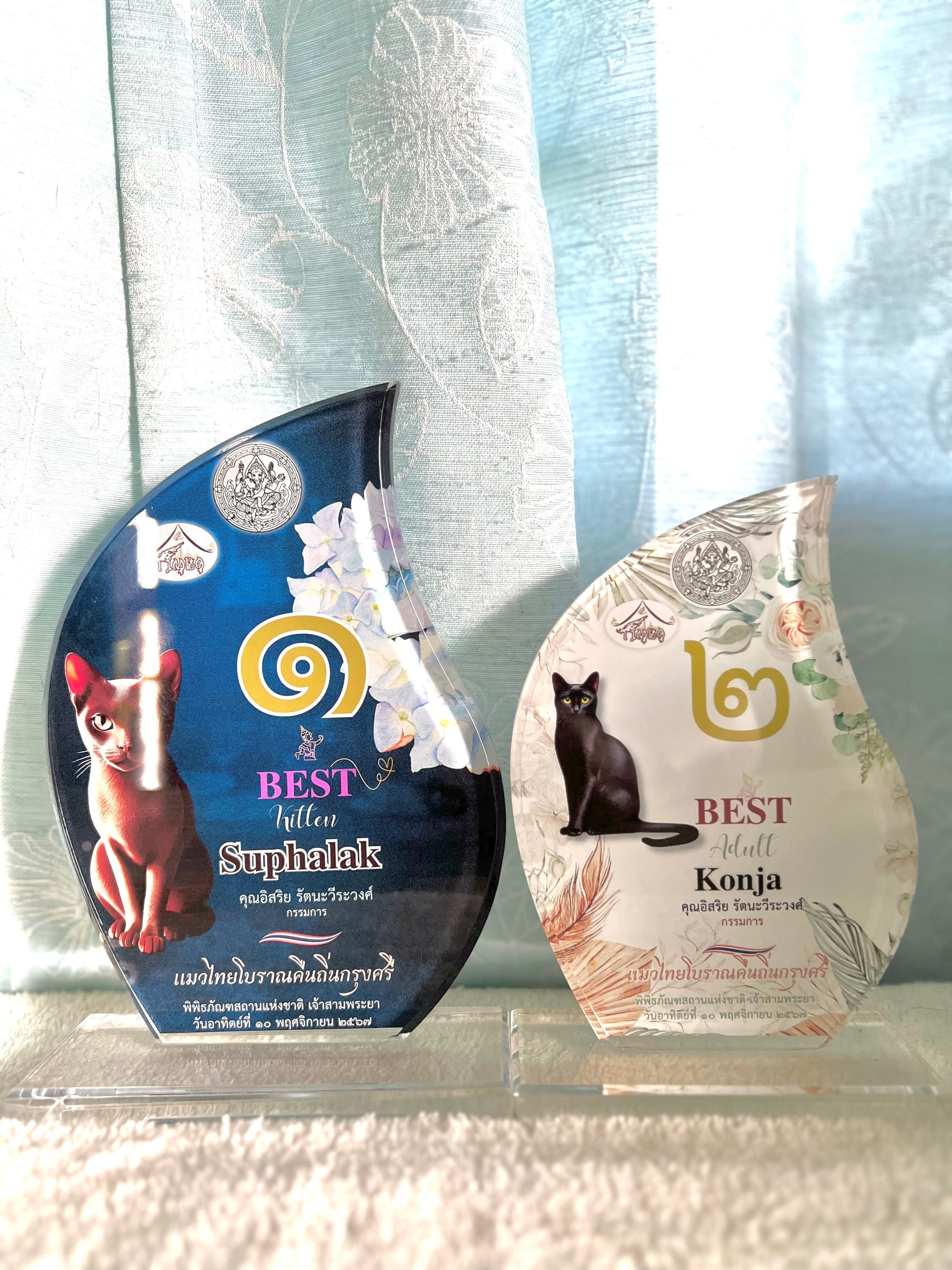 Thai Ancient Cat Shows