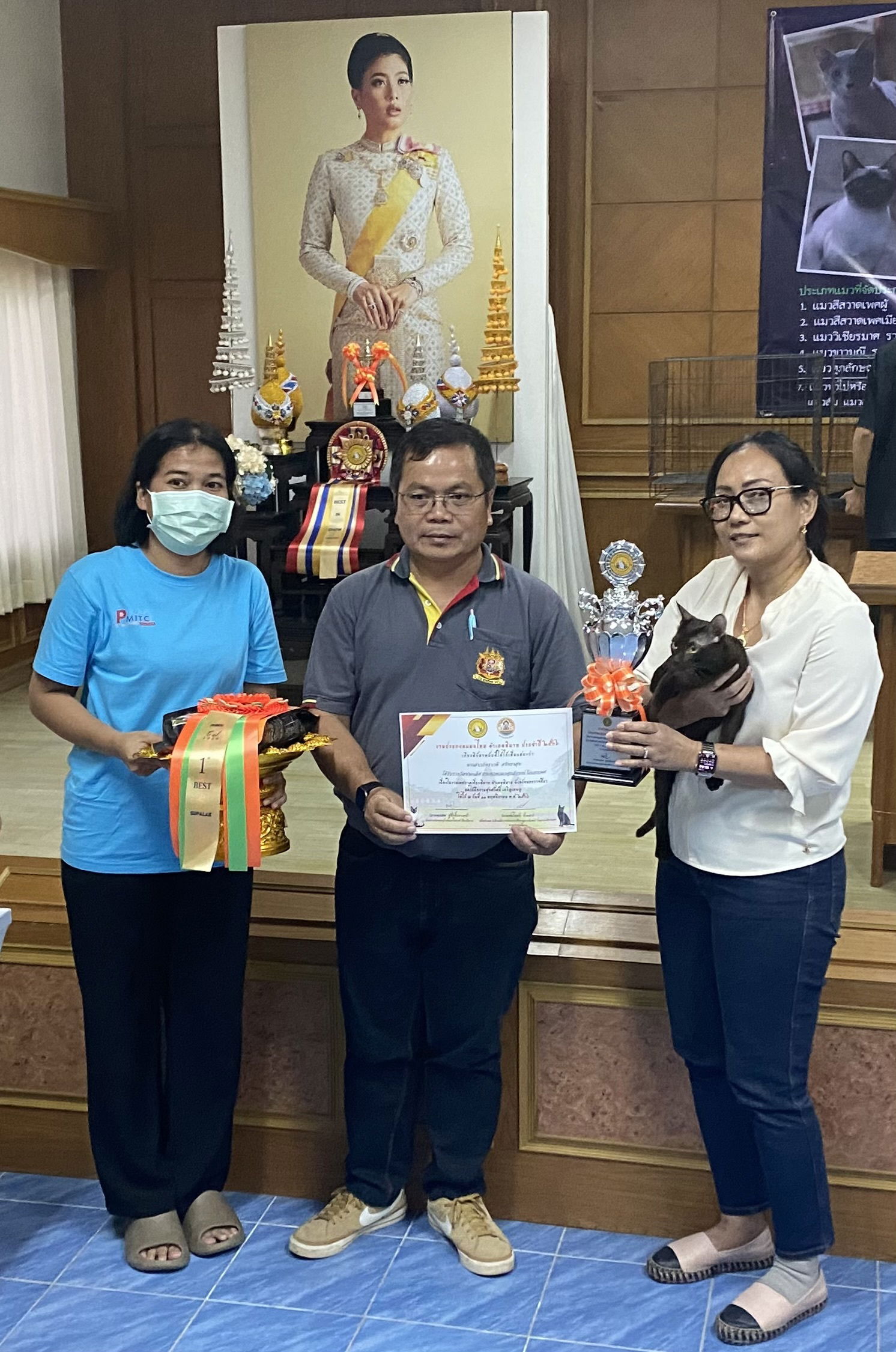 Thai Ancient cat Show