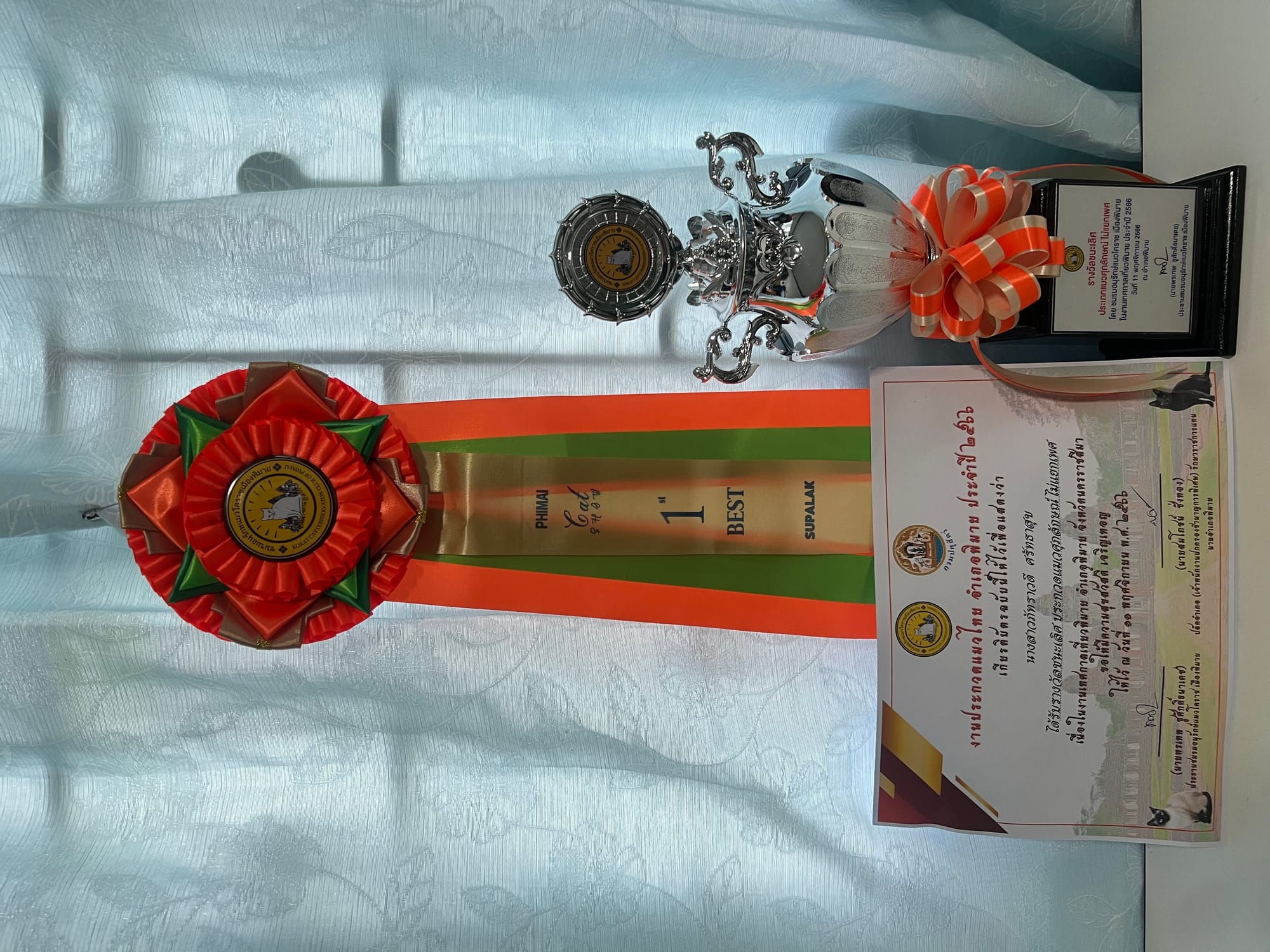 Thai Ancient cat Show