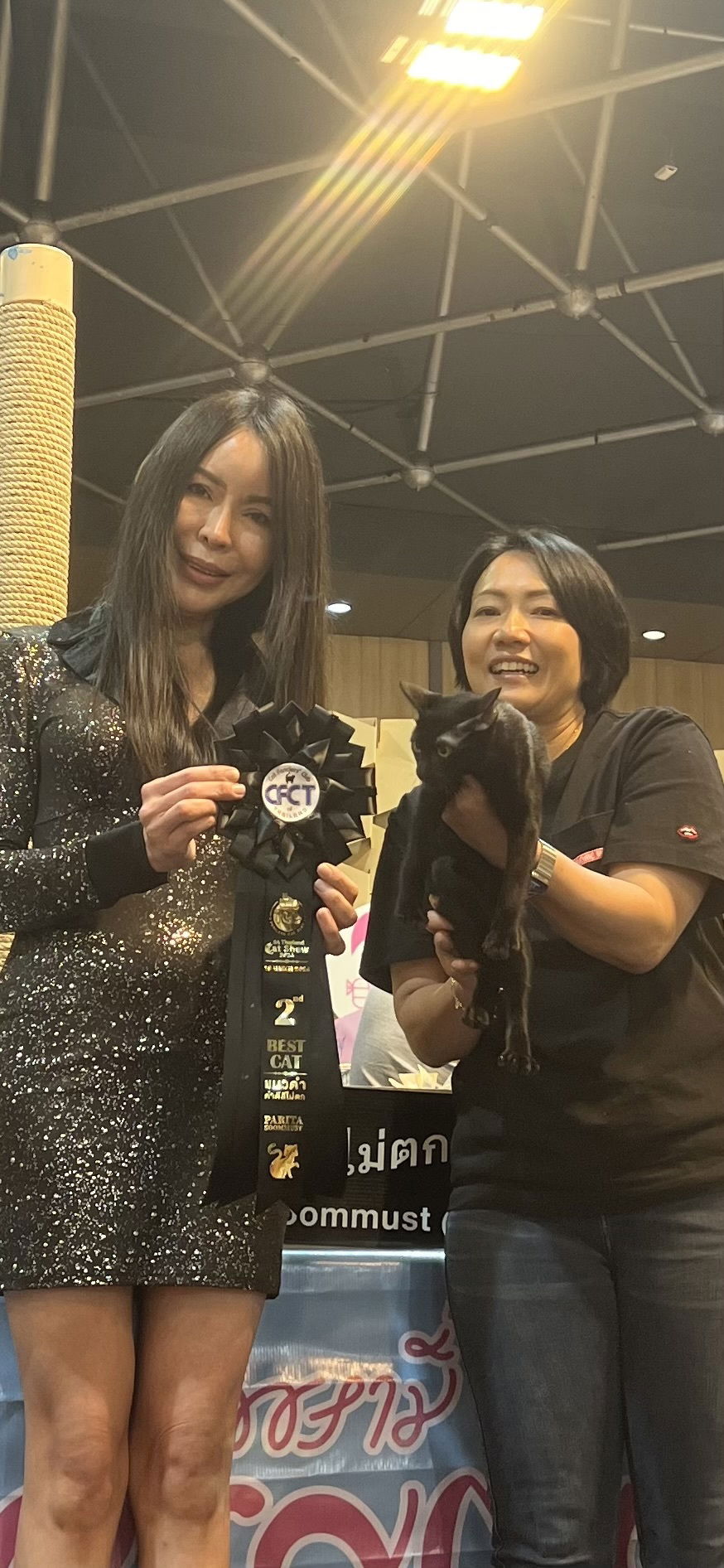 Thai Ancient Cat Shows