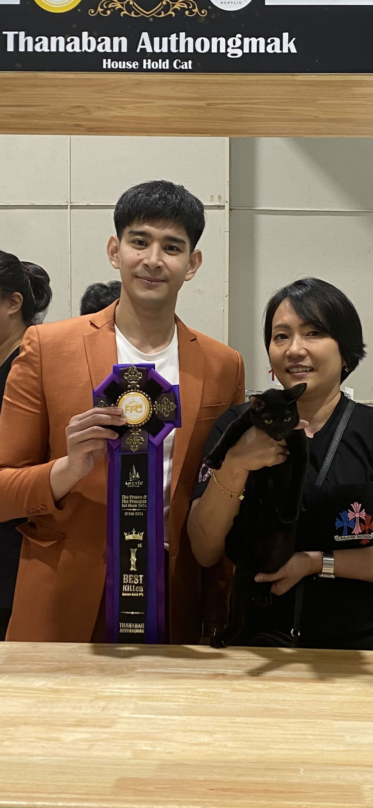 Thai Ancient Cat Shows