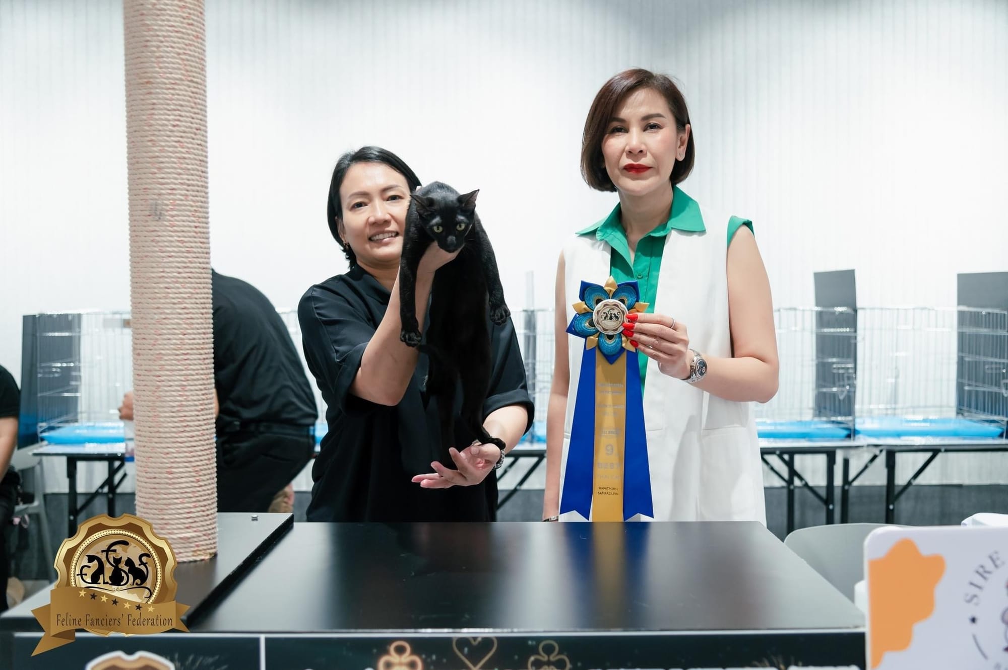 Thai Ancient Cat Shows