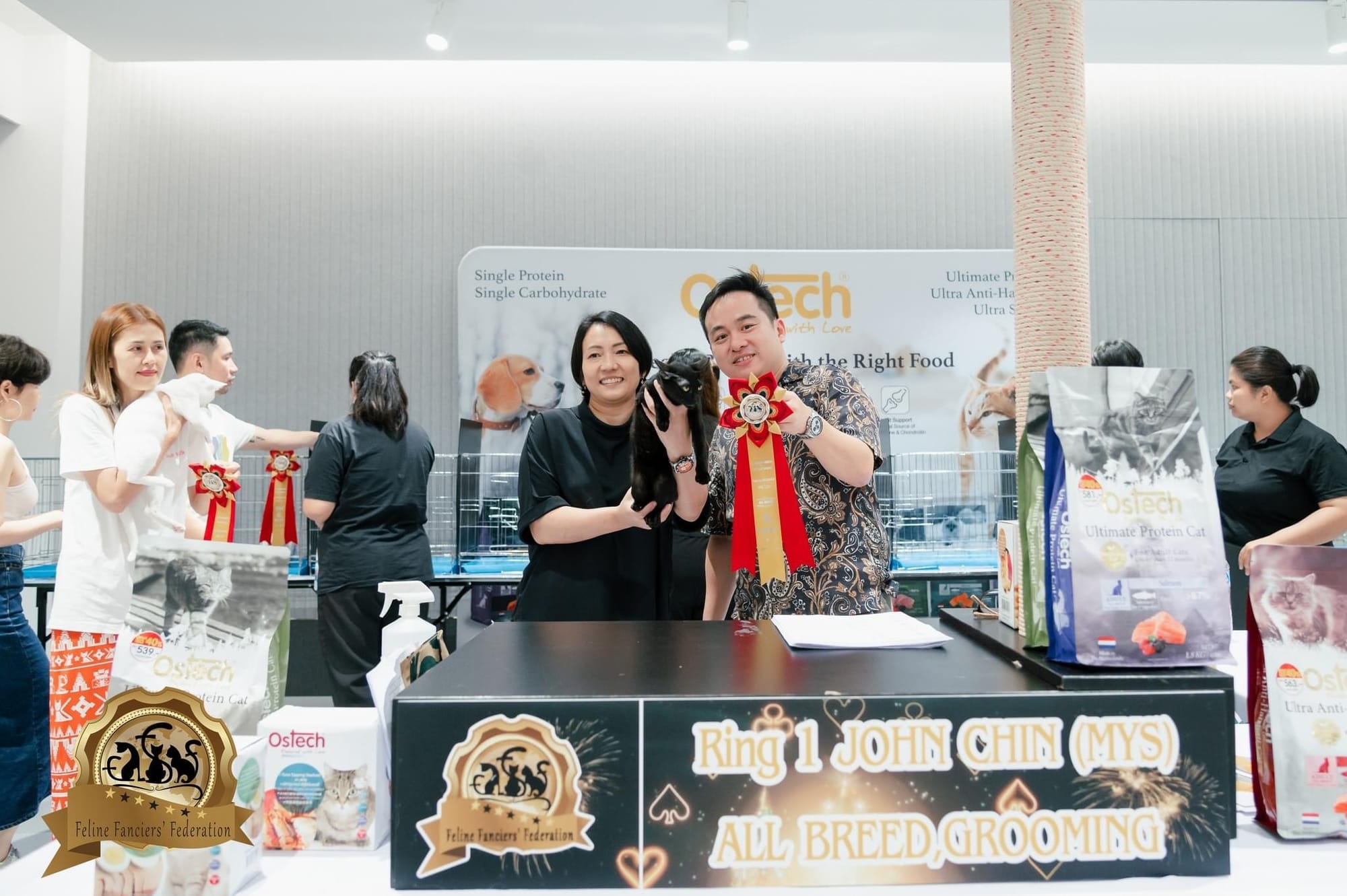 Thai Ancient Cat Shows