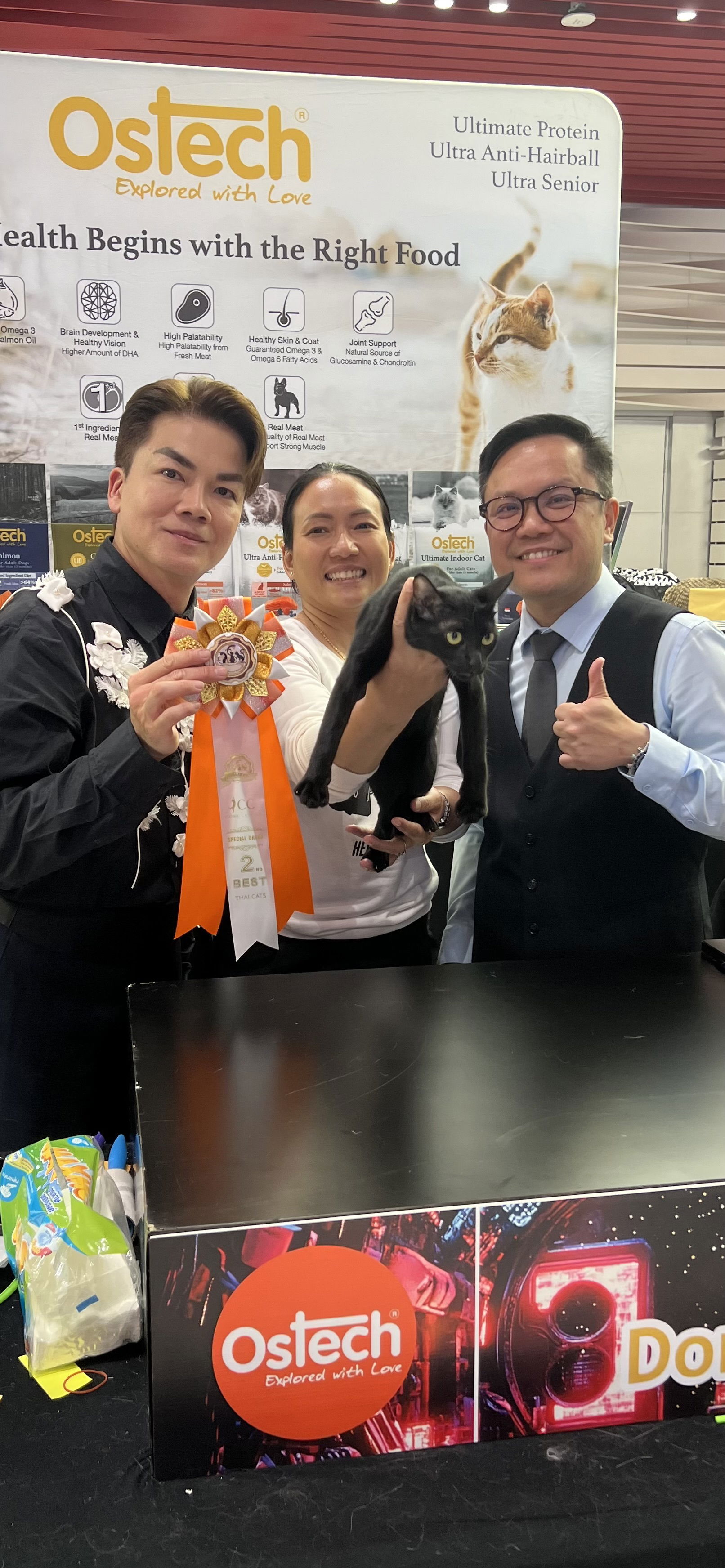 Thai Ancient Cat Shows