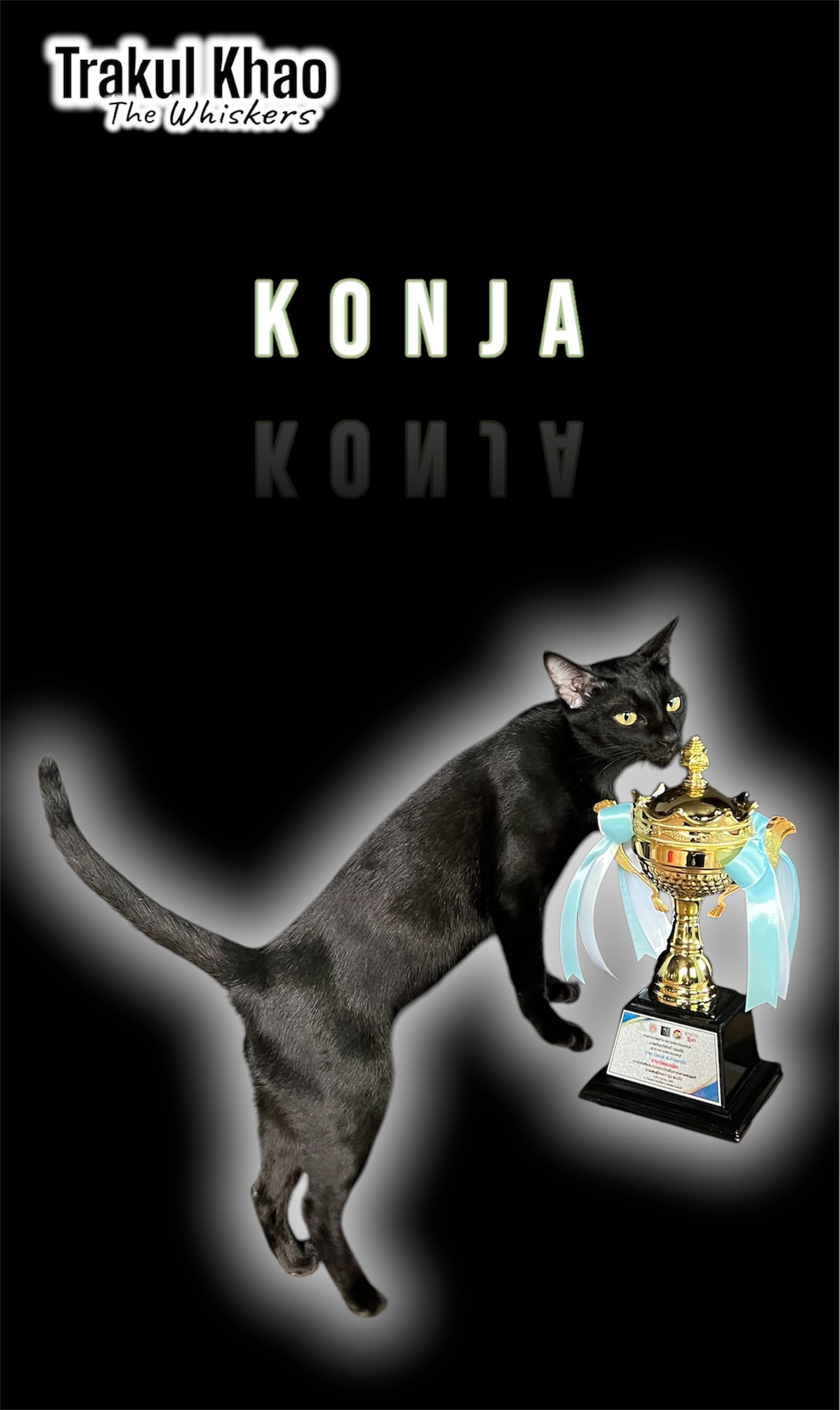 Thai Ancient Cat Shows