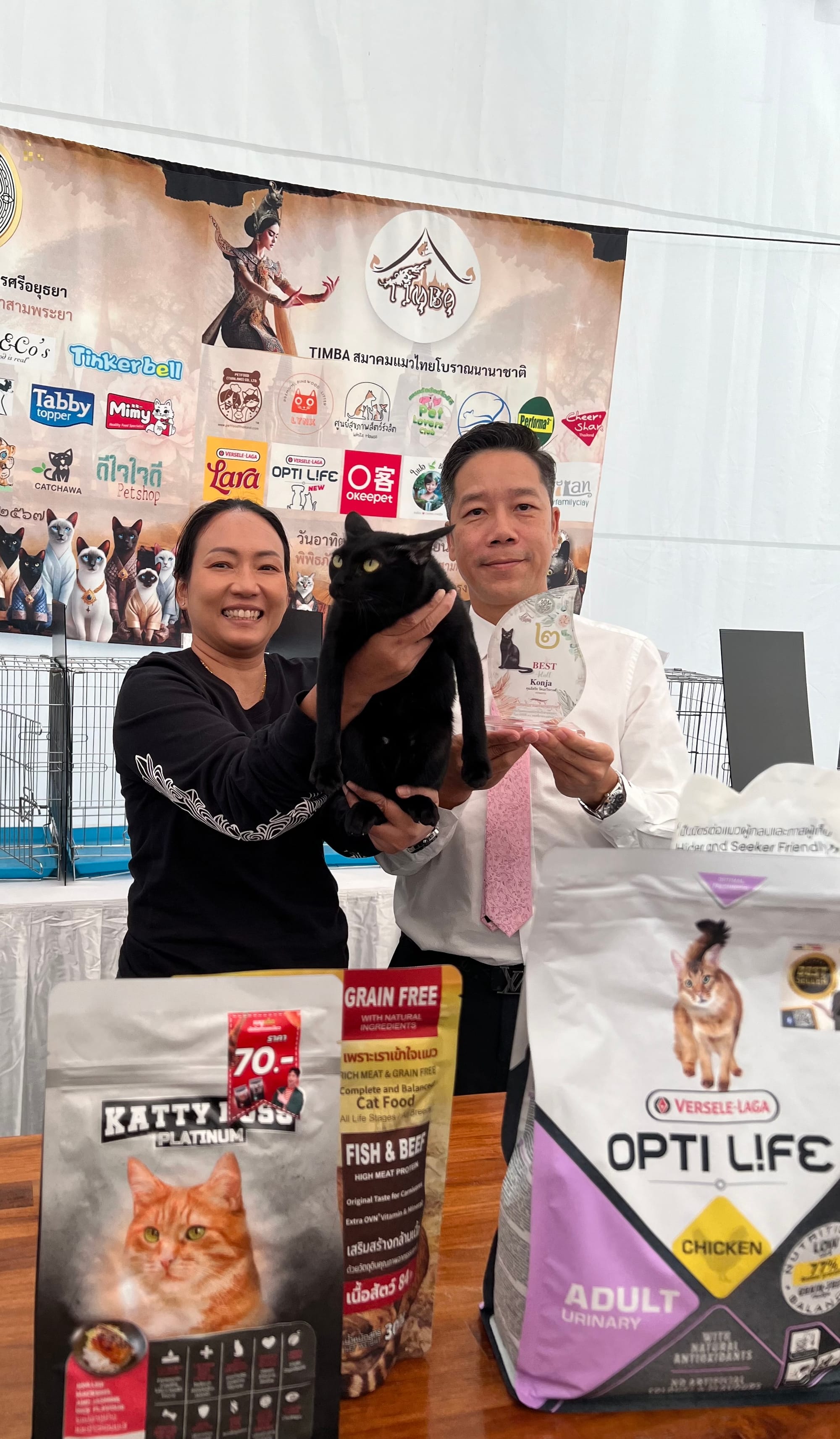 Thai Ancient Cat Shows